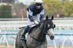 2014 Cox Plate: Williams Thrilled With Fawkner