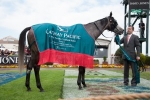 Fawkner Clear Favourite In Cox Plate Betting Fawkner Clear Favourite In Cox Plate Betting