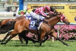 McEvoy wraps up early double on Hosting in Weekend Hussler Stakes McEvoy wraps up early double on Hosting in Weekend Hussler Stakes