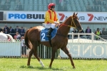 Of The Brave in demand for C&G Blue Diamond Prelude Of The Brave in demand for C&G Blue Diamond Prelude