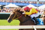 Of The Brave to be set for Blue Diamond Stakes