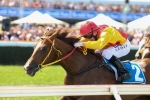 Of The Brave Looking Towards Golden Slipper