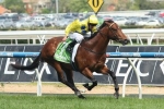 Rubick back with a win in the Shillaci Stakes