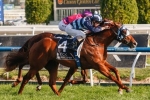 Shooting to Win Knows What to do in Hobartville Stakes Shooting to Win Knows What to do in Hobartville Stakes