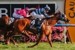 Shooting To win sizzles on the track in Hobartville Stakes leadup