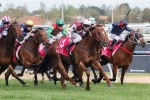 Trust In A Gust Out Of 2015 Spring Racing Carnival Trust In A Gust Out Of 2015 Spring Racing Carnival