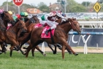 Trust In A Gust Included In Crystal Mile Field Trust In A Gust Included In Crystal Mile Field