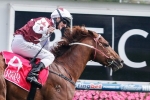 Trust In A Gust will ‘need the run’ in the Australia Stakes
