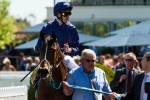 Rodd to resume riding at Moonee Valley Rodd to resume riding at Moonee Valley