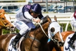 Price Hopeful Lion Of Belfort Can Have Spring Campaign Price Hopeful Lion Of Belfort Can Have Spring Campaign