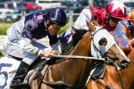 Lion Of Belfort Makes It Three In A Row In The Blue Sapphire Lion Of Belfort Makes It Three In A Row In The Blue Sapphire