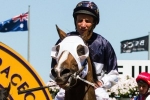 Price Confident Nordic Empire Can Fire In Flemington Equine Clinic Plate Price Confident Nordic Empire Can Fire In Flemington Equine Clinic Plate