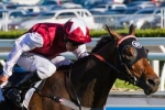 Cox Plate diet on track for McEvoy Cox Plate diet on track for McEvoy