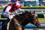 Long John scores runaway win in UAE 2000 Guineas Long John scores runaway win in UAE 2000 Guineas