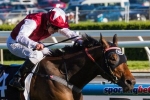 Long John scores runaway win in UAE 2000 Guineas