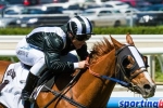 Missy Longstocking has to perform in Rubiton Stakes Missy Longstocking has to perform in Rubiton Stakes