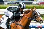 Missy Longstocking for Coolmore after Thoroughbred Club Stakes win Missy Longstocking for Coolmore after Thoroughbred Club Stakes win