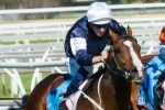 Sea Moon to wear blinkers in 2014 Melbourne Cup