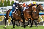 2013 Melbourne Cup: Williams Confirms Jockey’s For His Six Chances