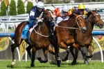 2013 Melbourne Cup: Williams Confirms Jockey’s For His Six Chances 2013 Melbourne Cup: Williams Confirms Jockey’s For His Six Chances