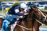 Sea Moon Capable of Melbourne Cup 2014 Success