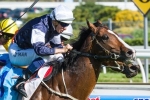 Sea Moon A Possible Caulfield Cup Starter After Grinding Herbert Power Stakes Victory