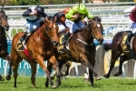 Unpretentious To Be Ridden Forward In 2014 William Reid Stakes