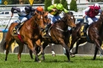 Olive produces dashing ride to take out Schillaci Stakes