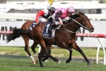 Flying Artie will improve on Blue Sapphire Stakes win