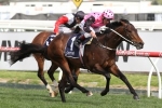 Flying Artie out of Newmarket Handicap Flying Artie out of Newmarket Handicap