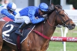 Trekking early favourite for 2019 Winterbottom Stakes