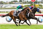 Pierro And All Too Hard on equal weights in Doncaster