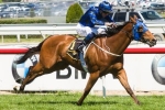 2015 Winterbottom Stakes Results: Buffering Wins Again