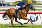 Buffering draws barrier 12 in Doomben 10,000