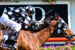 Solzhenitsyn Out of Doomben Cup After Acceptance Error