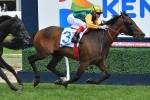Ball Of Muscle too strong for his rivals in 2018 Schillaci Stakes