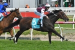 Australia Stakes could be the Land Of Plenty for Weir