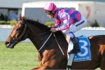 2016 Oakleigh Plate Tips: Fast ‘N’ Rocking The Value 2016 Oakleigh Plate Tips: Fast ‘N’ Rocking The Value