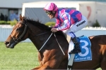 Fast ‘N’ Rocking among nominations for Sir John Monash Stakes