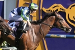 Blinkers go on Keen Array in Winterbottom Stakes Blinkers go on Keen Array in Winterbottom Stakes