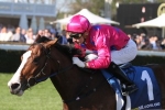 Miss Rose De Lago To Myer Classic After Ladies Day Vase Win