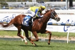 Corstens Pleased with Mr Individual Ahead of Sunshine Coast Guineas Corstens Pleased with Mr Individual Ahead of Sunshine Coast Guineas