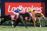 Futurity Stakes fancy Mighty Boss among Australian Guineas first acceptances