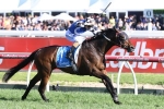 Humidor and Tosen Stardom to head Weir’s Australian Cup attack