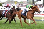 Queensland Oaks is Winter Carnival goal for Savvan Queensland Oaks is Winter Carnival goal for Savvan