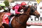 Victory Stakes or Hawkesbury Guineas for Good Standing