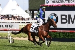 2016 Melbourne Cup Betting: Money For Jameka