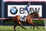2016 Melbourne Cup: Maher tips Jameka to win