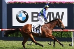 Jameka heads Melbourne Cup 32 second acceptances