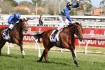 Complete 2017 Australian Cup Form Guide Complete 2017 Australian Cup Form Guide